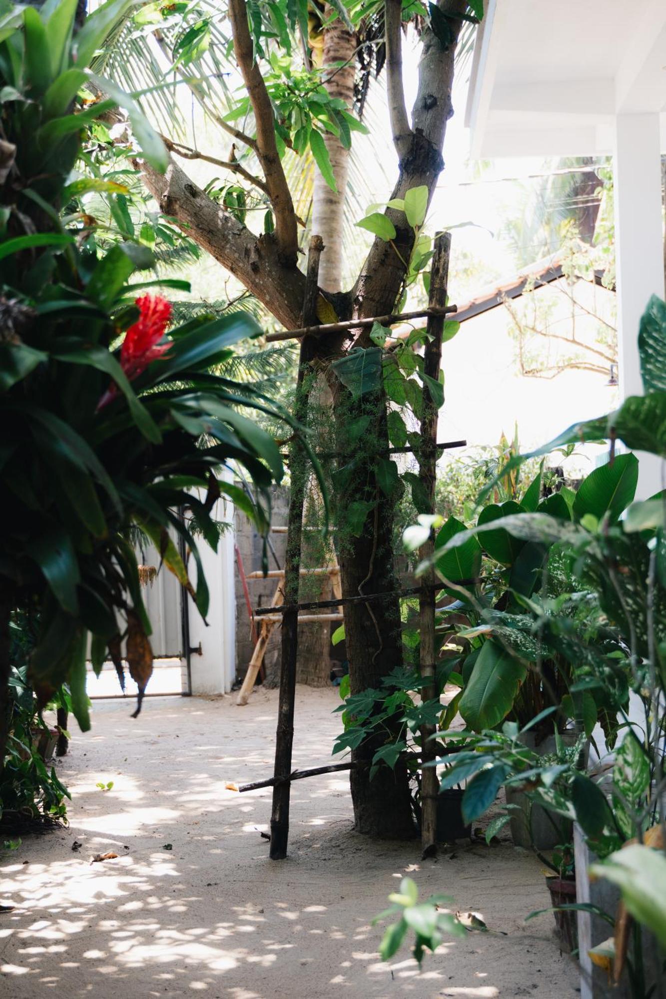 Tropicana Home Stay Arugam Bay Exterior photo